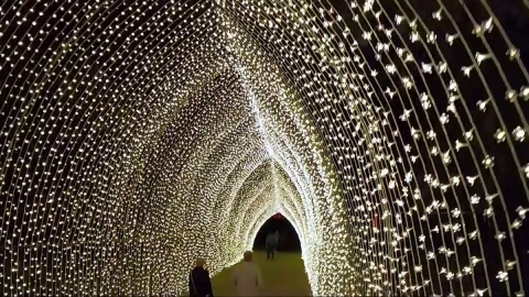 foto1_LIGHTSCAPE_ESPECTACULO_NAVIDEÑO_LOS_ANGELES.jpg