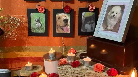 ÚLTIMA HORA: Presunto hallazgo de cuerpo sin vida flotando frente a El Cuyo, esto sabemos