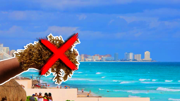 Estas son las playas sin sargazo en Quintana Roo HOY 15 de noviembre de 2025_ Cancún, Playa del Carmen, Tulum y más.webp