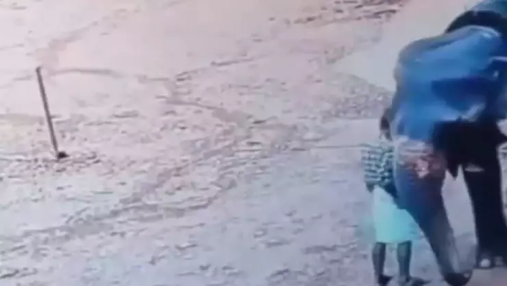 VIDEO del momento en el que un elefante aplastó a su entrenador de 62 años