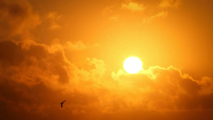 cuarta ola calor méxico estados afectados