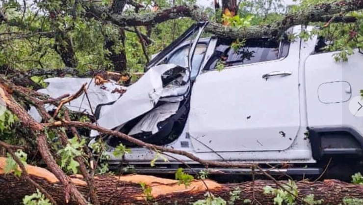 ¿Cómo fue que un nene salvó a su familia de un tornado en Oklahoma?