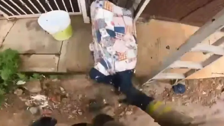 Ataque de abejas contra un hombre en Mazatlán..jpg