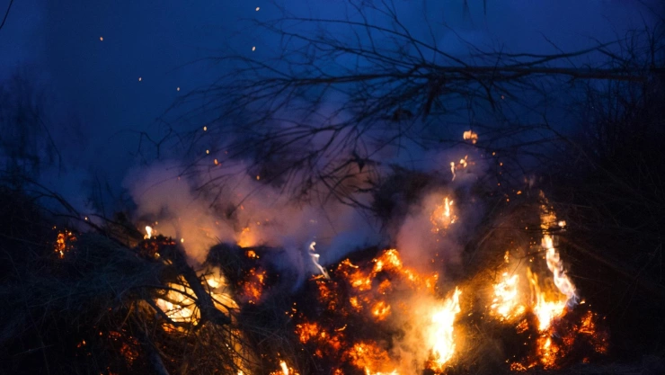 Logran controlar los mortales incendios forestales en Corea del Sur