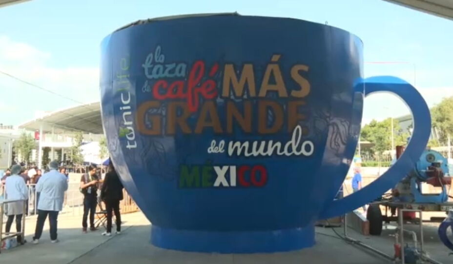 Taza Grande De 16 Oz Para Bistró, De Cerámica, Café, Té, Taza De Vidrio Horoscopo Signo De Nacimiento Del Zodiaco Piscis Naranja