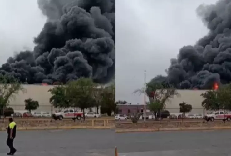 Fuego consume 200 toneladas de pollo congelado y 160 de producto prefrito