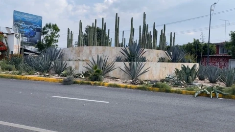 Accidente en Tehuacán: Conductor se estrella en monumento
