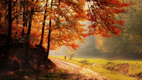 ¿Bajará la temperatura en el clima de Aguascalientes con la llegada del otoño 2025 Lo que dice el pronóstico