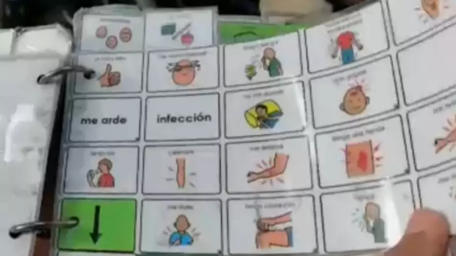 afasia de Broca
