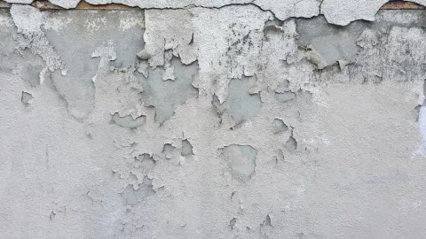 Humedades por lluvia