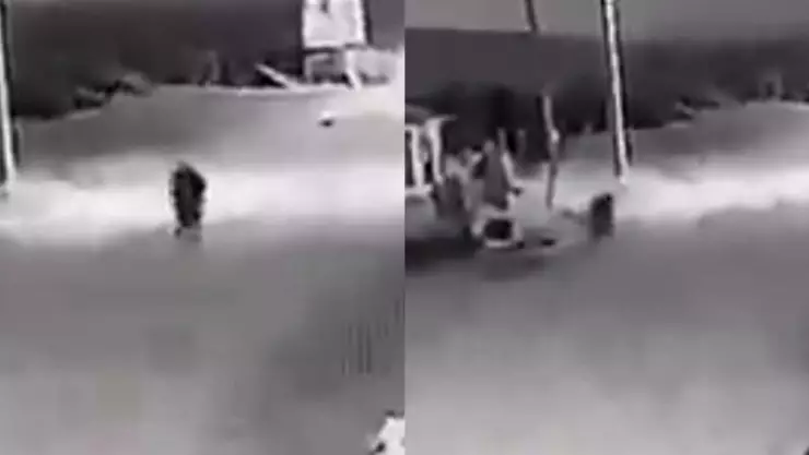 Perro se convierte en humano