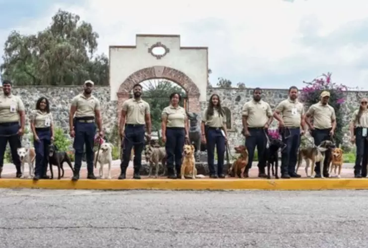 Lomitos graduados del Ceacan con sus dueños.