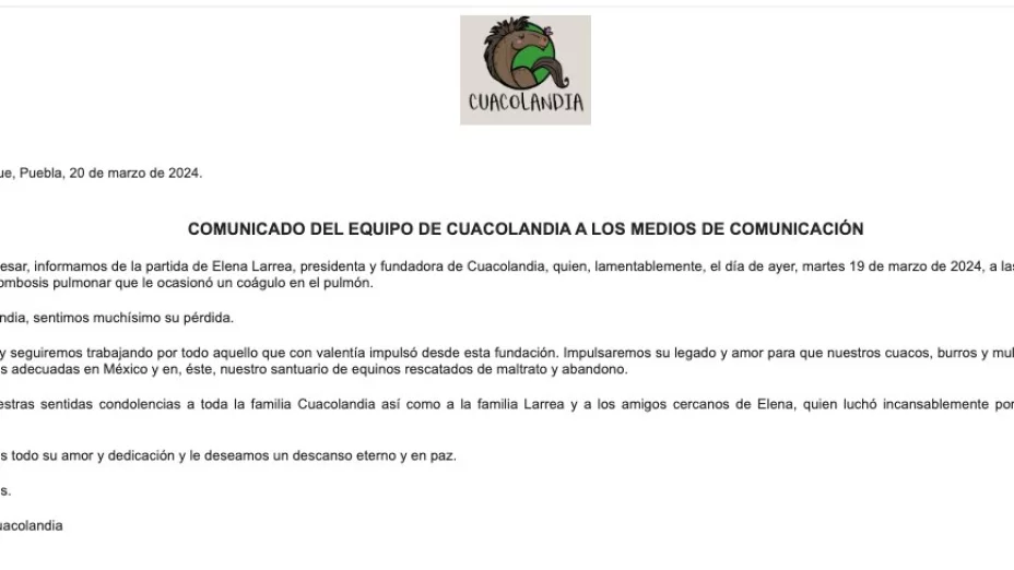 cuacolandia