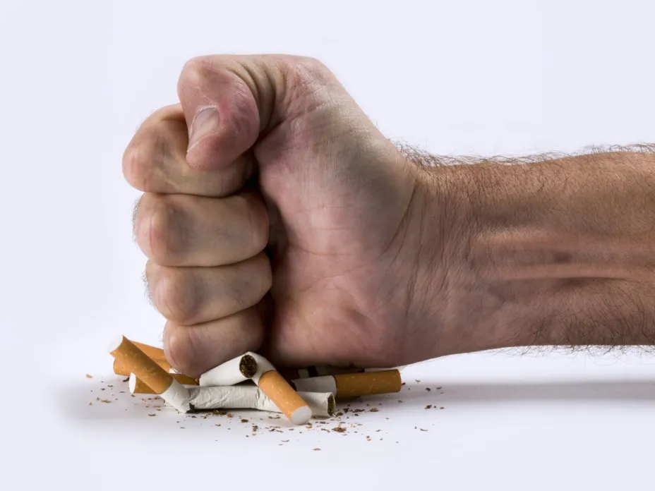 Tabaco Flow.jpg