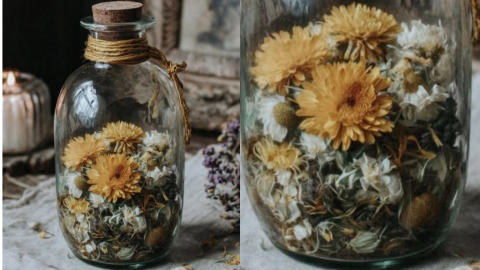 Decoupage
