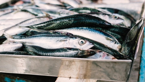 Canadá ofrece empleos con salario de hasta 80 mil pesos al mes