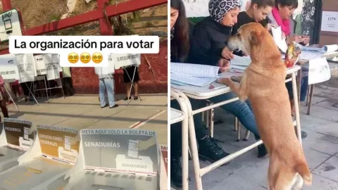 memes elecciones 2024