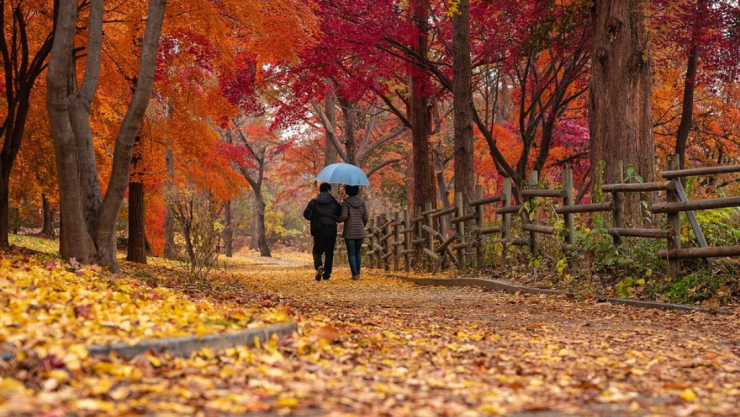 otoño-2021.jpg