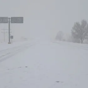 La nieve en Chihuahua no solo cubre de blanco las carreteras, sino que contagia el panorama con su neblina.