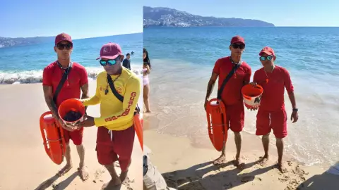 salvavidas tortugas.jpg