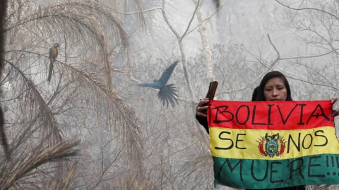 Incendios forestales, Bolivia declara desastre nacional