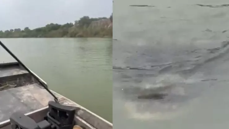 Peligran migrantes por enormes cocodrilos en el Río Bravo