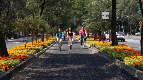 Calles de la CDMX llenas de flores por el D&iacute;a de Muertos