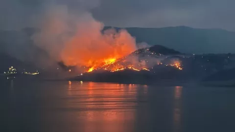 VIDEO: Incendio forestal consume zona ecológica en Valle de Bravo, ¿qué se sabe?