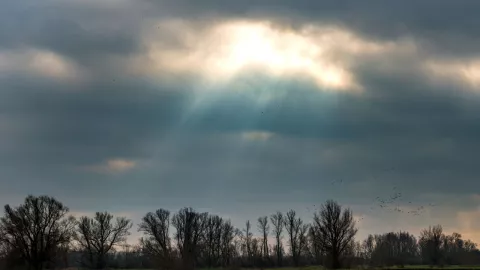 Clima Tijuana hoy 8 de octubre de 2025