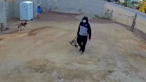 Denuncias ciudadanas Baja California