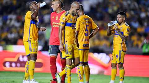 Tigres, Apertura 2023 de la Liga BBVA MX