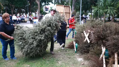 ¿Dónde tirar mi árbol de Navidad en Cancún? Ubica el centro de acopio más cercano aquí