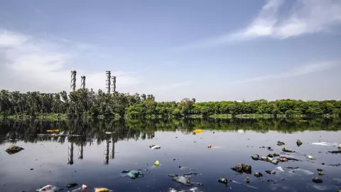 Estaciones del clima ya no son las mismas: contaminación altera el calendario natural