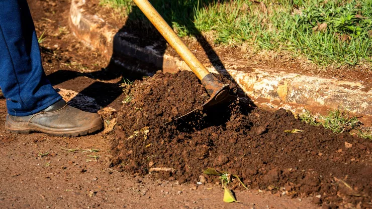 Tierra de Sommières: ¿Qué es y por qué es recomendado por los científicos?