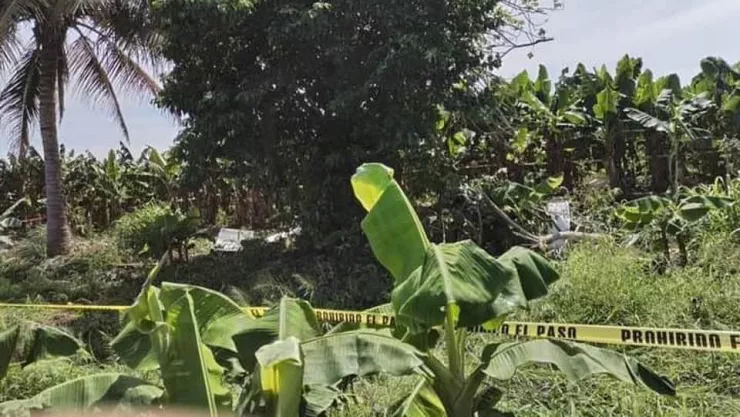 Muere piloto en aeronave fumigador