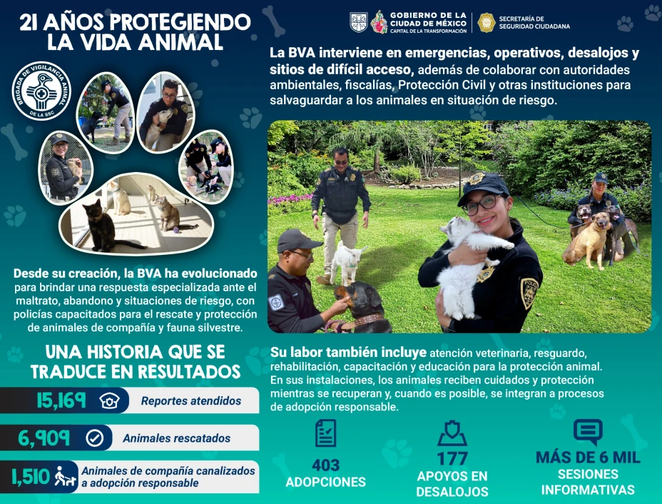 SSC 27 de agosto 2026.jpg