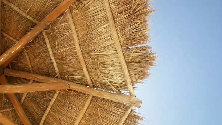 palapa.jpg