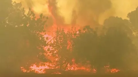 portugal muertos ola de calor