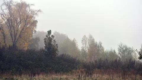 Clima en Aguascalientes ¿A partir de qué mes del 2024 comenzará a bajar la temperatura