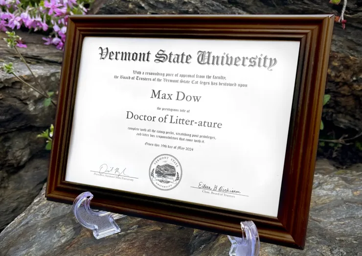 gatito obtiene doctorado en universidad de vermont