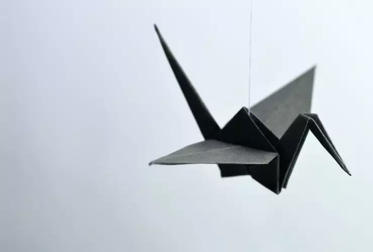 efemérides 11 de noviembre.jpg