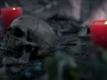 Lo Que La Gente Cuenta Xochimilco