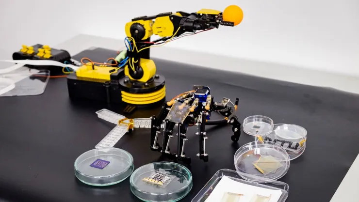 Robotos con IA creados en Singapur