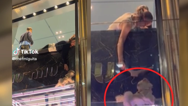 Perro queda atorado en ventana