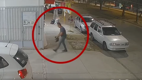 Hombre abandona a un gatito afuera de veterinaria en León, 1 de abril 2025.png