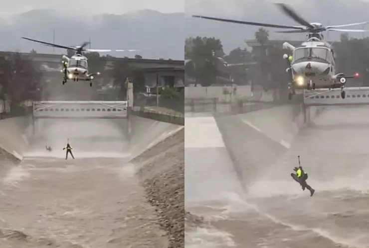 Tormenta en California Perro