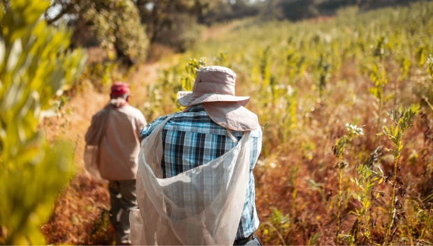 pensión de $7,000 para campesinos