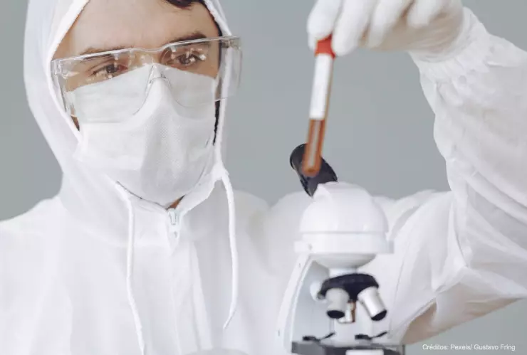 covid-19 afecta organos vitales.jpg