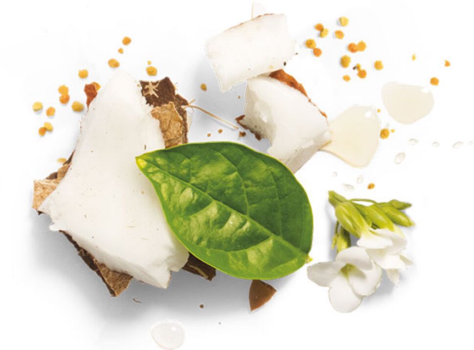 Leche de Coco - hidrata el cabello.png