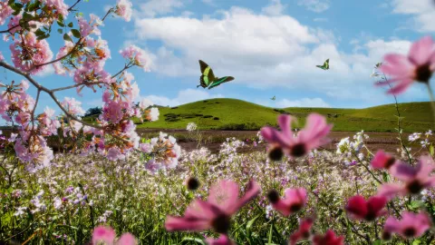 Equinoccio de primavera 2025